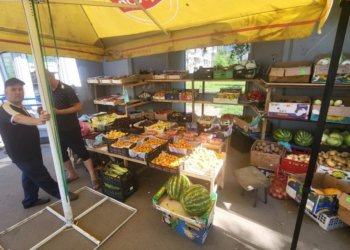 У нелегальных торговцев отобрали фуру фруктов в Новосибирске