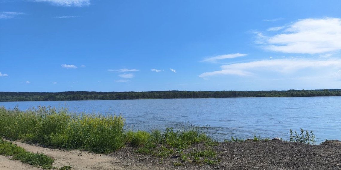 Малые реки Новосибирской области: решится ли проблема загрязнения?