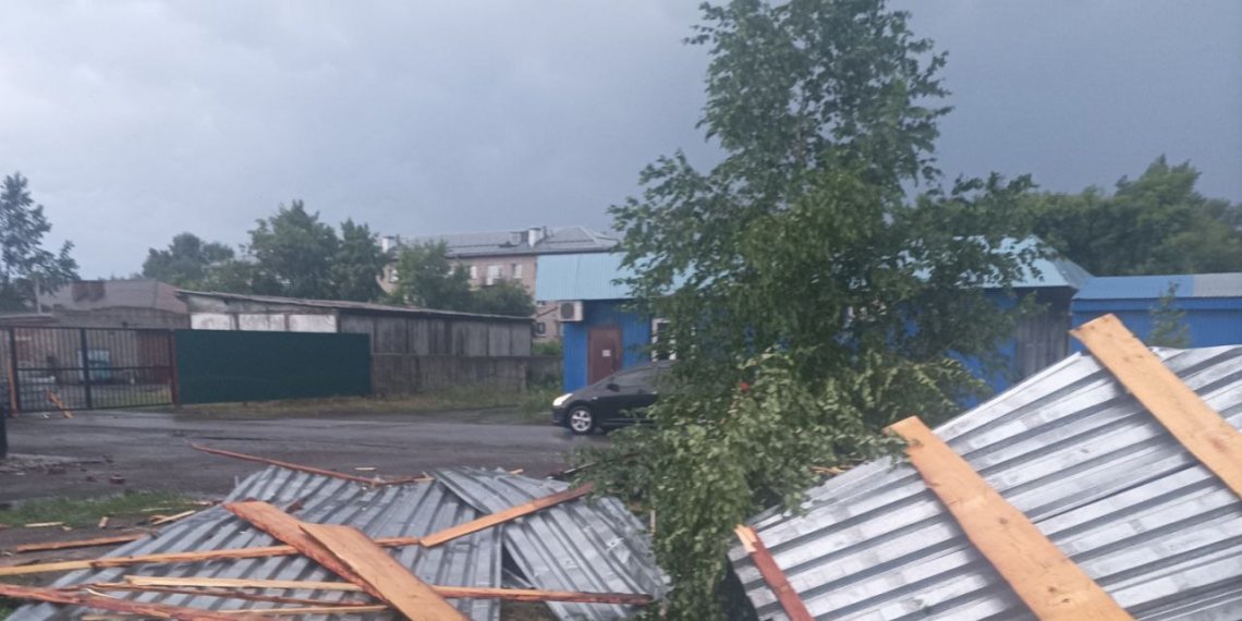 Шквалистый ветер лишил электричества 24 населённых пункта в Новосибирской области