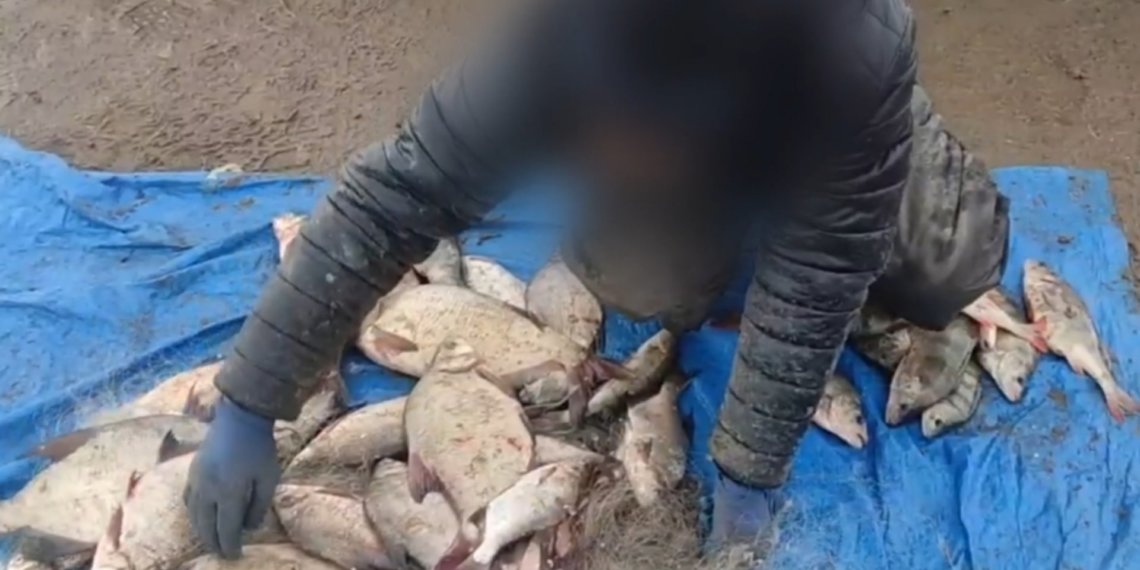 В Новосибирской области задержали подозреваемого в браконьерстве