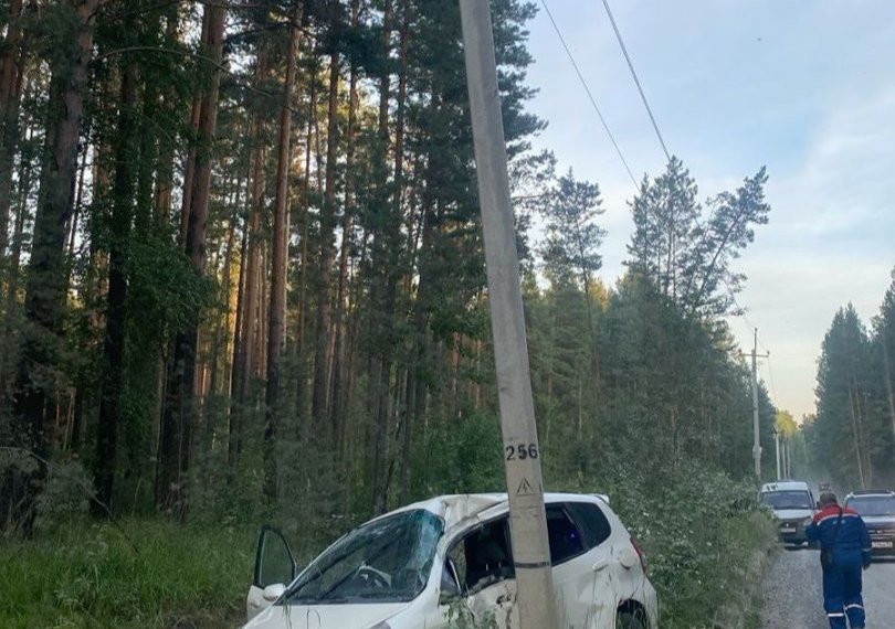 Под Новосибирском водитель снес опору ЛЭП и оставил без света 4 населенных пункта