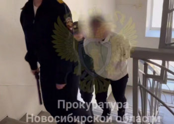 В Новосибирске осудят адвоката за мошенничество со взятками для клиента