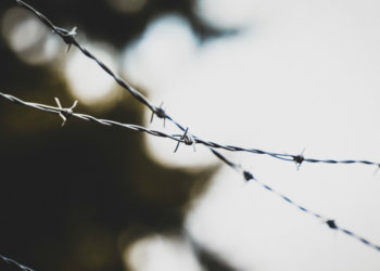 Новосибирцы стали вдвое чаще совершать наркопреступления