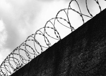 Мигранты отправятся в колонию за попытку сбыта героина в Новосибирской области