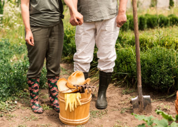 За какой сорняк дачникам грозит штраф — рассказал юрист