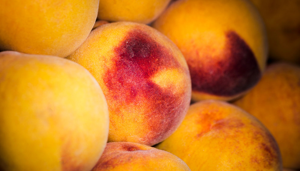 Более 20 тонн персиков с опасным вредителем обеззаразили в Новосибирске