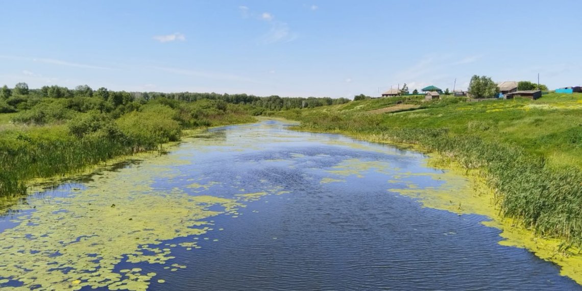 Закидала камнями и утопила: сибирячку осудят за убийство на 9 Мая в Новосибирской области