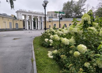 Новосибирск поднялся на 2-е место в голосовании за культурную столицу