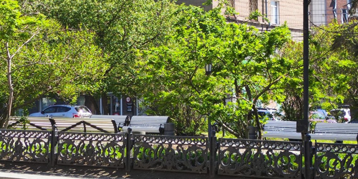 Жара вернется в Новосибирскую область после июльского похолодания