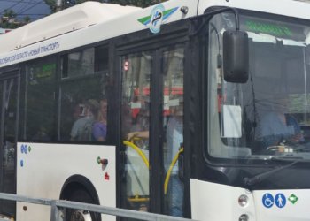 «Умные» автобусы с бесплатным Wi-Fi появятся в Новосибирске