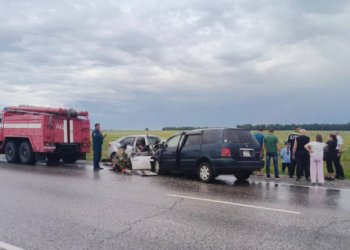 Шесть человек погибли на сибирской трассе — в одной из машин нашли бутылку водки