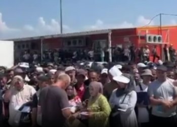 Мигранты нарушили закон почти 470 раз в Новосибирской области