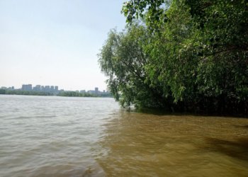 На диком пляже утонул 27-летний новосибирец