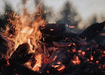 Более 300 пожаров произошли на дачах в Новосибирской области за полгода