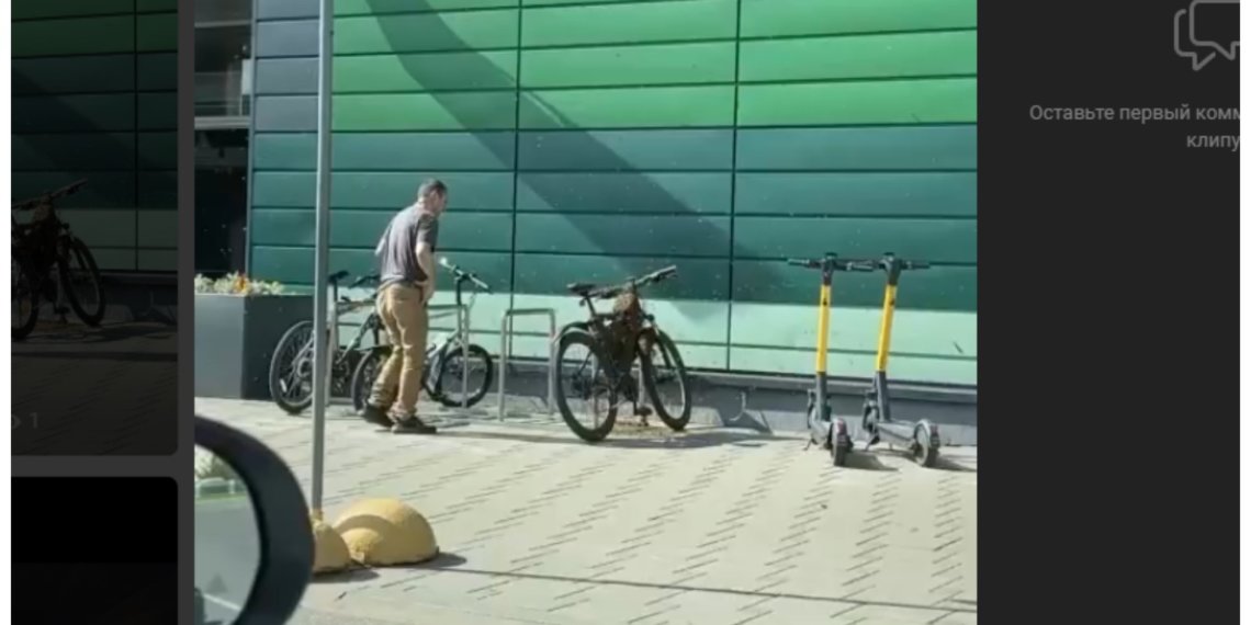 Пчёлы «угнали» велосипед у минчанина