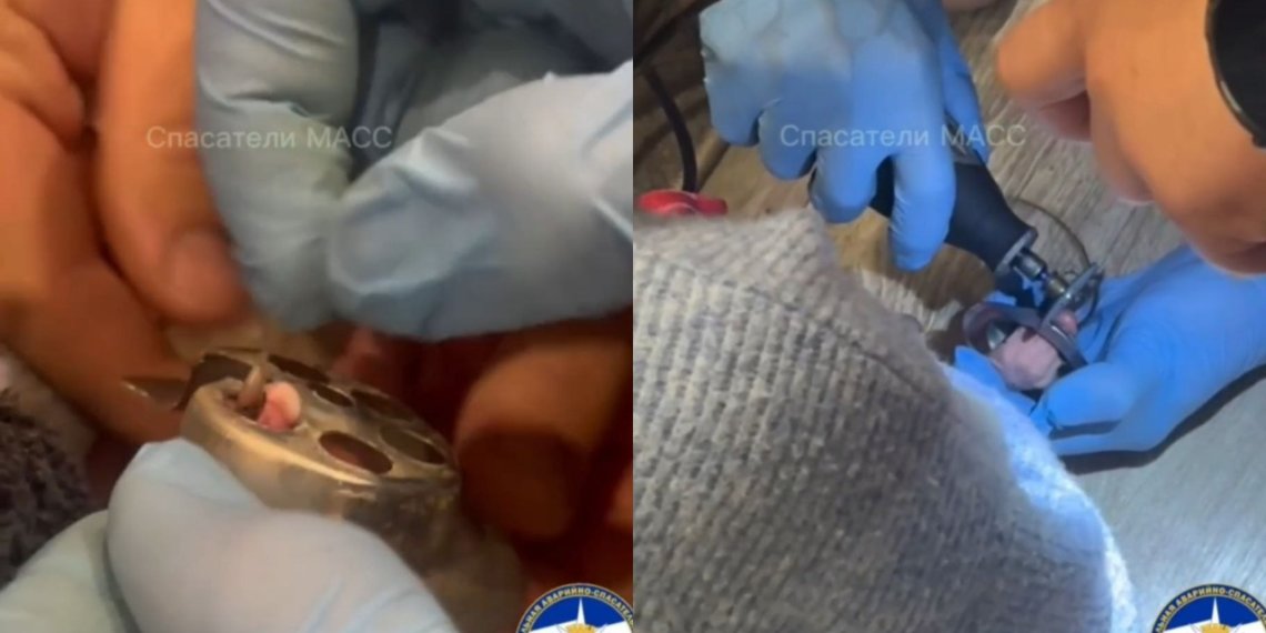 В Новосибирске сотрудники МАСС спасли сфинкса