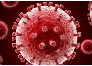 Новый штамм коронавируса добрался до Москвы