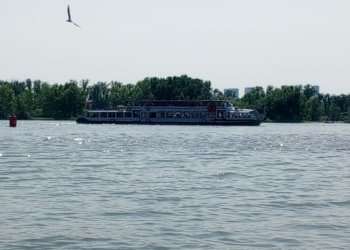 Чужеродные рыбы создают угрозу экосистеме Оби