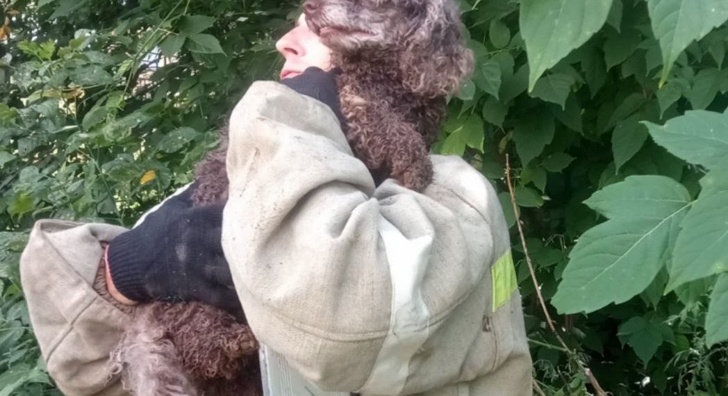 Пудель провалился в заброшенный колодец в Новосибирске