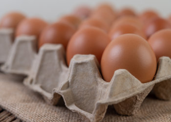 Яйца упали в цене на 20% за месяц в Новосибирской области