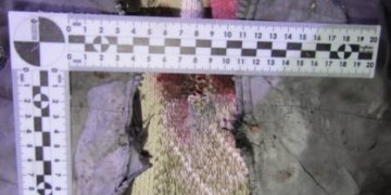Новосибирец получил срок за убийство знакомого из-за лайков девушки в соцсетях