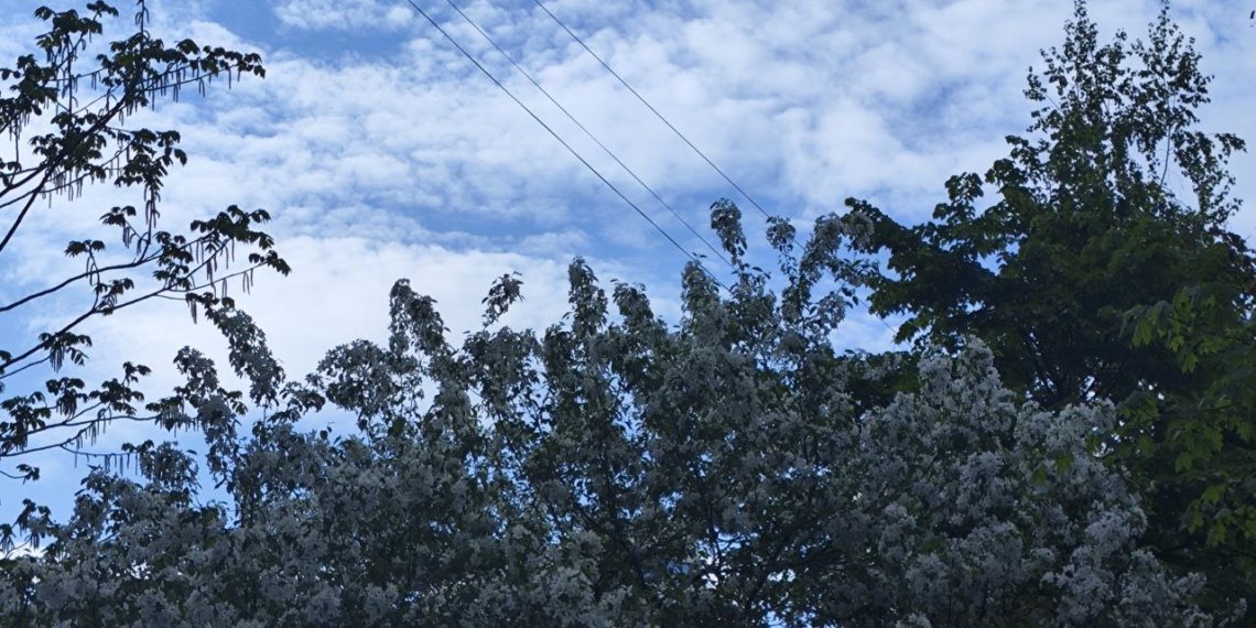 Когда жара вернется в Новосибирскую область: прогноз погоды на два дня