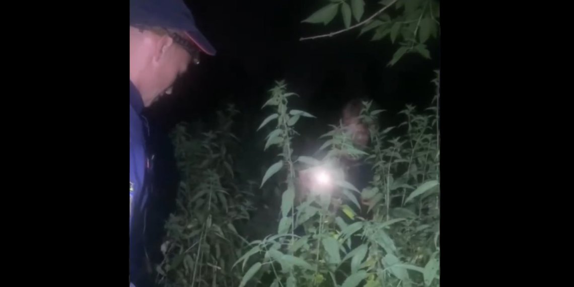 Пьяному мужчине с близорукостью помогли выйти к дороге в Новосибирске