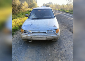 Пьяный водитель пытался скрыться с места смертельного ДТП в Новосибирской области