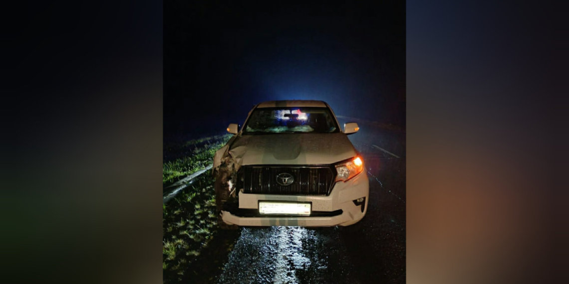 Смертельное ДТП с участием пешехода произошло на трассе в Новосибирской области