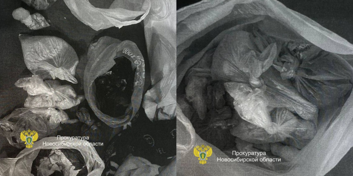 Крупную партию героина изъяли в Новосибирске