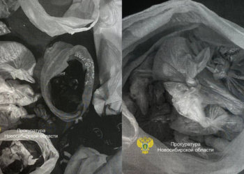 Крупную партию героина изъяли в Новосибирске