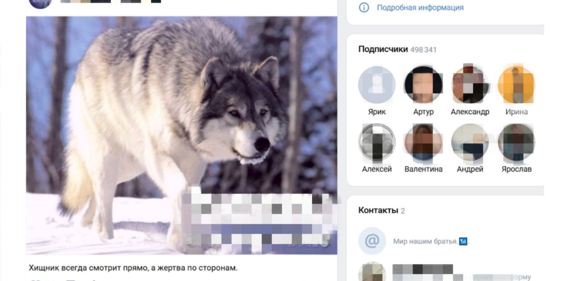 Суд заблокировал популярные «пацанские» паблики «Вконтакте»