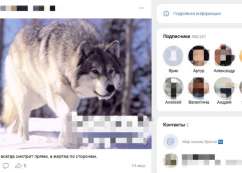 Суд заблокировал популярные «пацанские» паблики «Вконтакте»