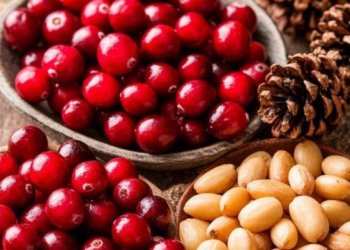 Когда можно будет собирать ягоды и кедровые орехи в Новосибирской области в 2025-м году