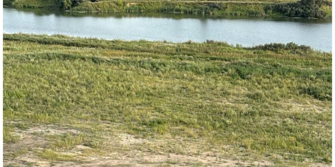 Хвойные войны: жители спального района возмущены запущенным состоянием геоглифа в Новосибирске