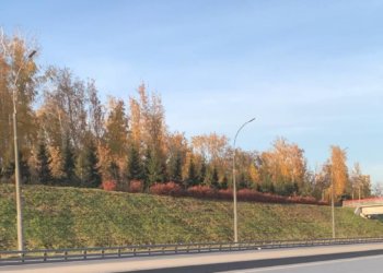 Рекордно тёплую осень в Новосибирске прогнозируют метеорологи