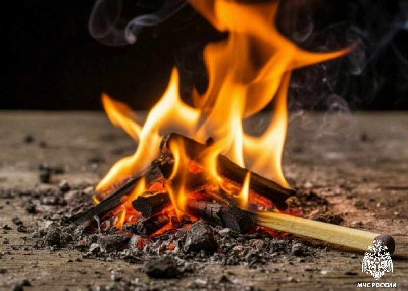 Из-за непотушенной сигареты в пожаре погиб житель Новосибирской области