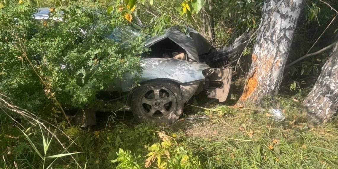 Водитель «Nissan» вылетел в кювет и врезался в дерево в Новосибирской области