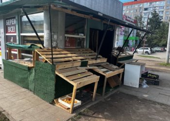 Более 750 килограммов фруктов и овощей изъяли у нелегального торговца в Новосибирске