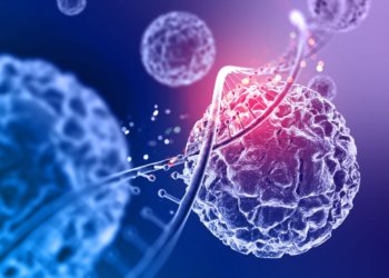 Рост заболеваемости менингококковой инфекцией фиксируют в России