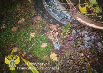 Мужчина пытался зарезать своего собутыльника в Новосибирской области