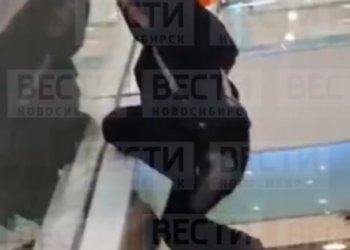Девочка сорвалась с эскалатора в торговом центре