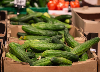Огурцы подорожали на 17% в Новосибирской области