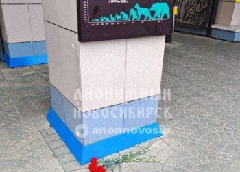 Новосибирцы несут цветы в память о животных, погибших во время пожара в зоопарке