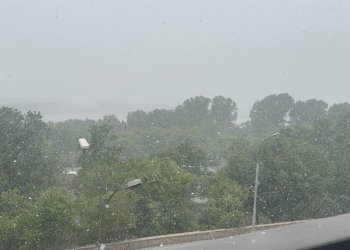 Заморозки и туманы придут в Новосибирскую область