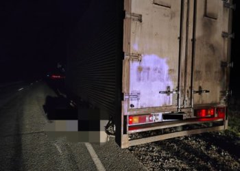 Водитель грузовика насмерть сбил мужчину и скрылся в Новосибирской области