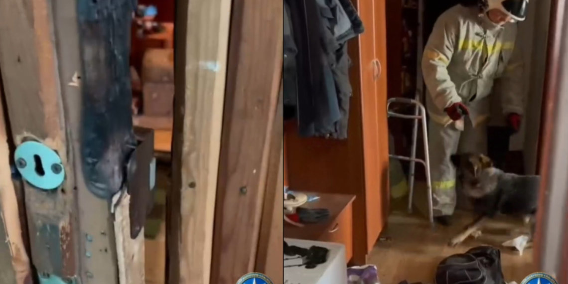 Мёртвого мужчину, истощённую женщину и собаку нашли спасатели в новосибирской квартире