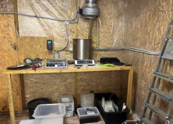 Наркодилера, спонсируемого украинскими кураторами, задержали в Новосибирской области