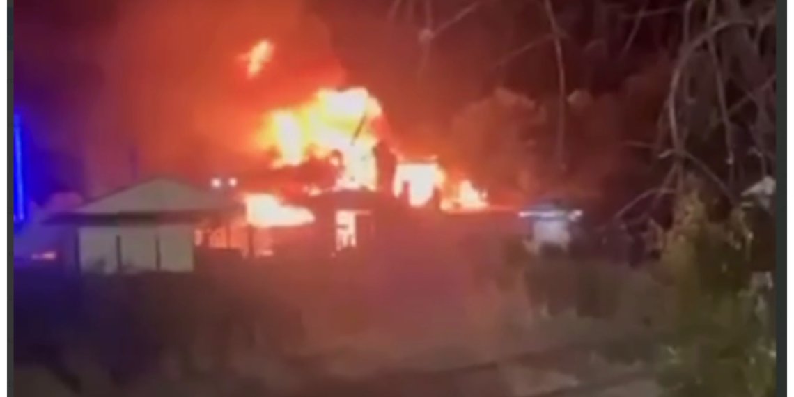 В страшном пожаре в зоокомплексе погибли почти 30 экзотических животных