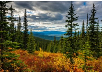 Развивать Сибирь планируют с помощью отправки туда релокантов и вернувшихся с фронта военных